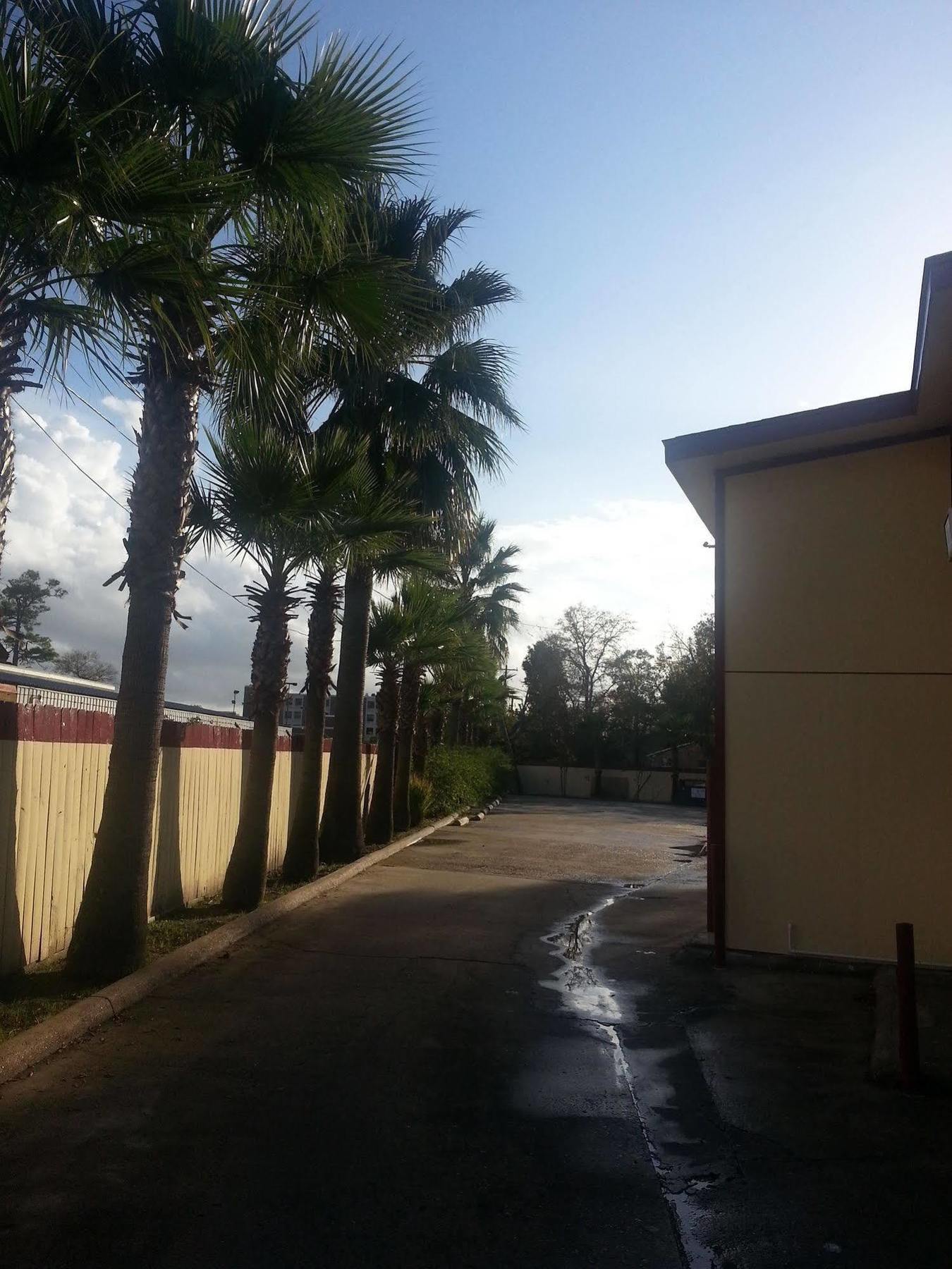 Southmore Motel Хюстън Екстериор снимка